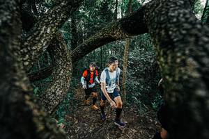 BIB: 
                            <button type="button" onclick="openModal(25392076)" class="btn btn-primary btn-sm float-right btn-popup" data-toggle="modal" data-target=".modal-high-quality">
                        <i class="fas fa-shopping-cart"></i> Add to Cart
                    </button>
                                            <button type="button" onclick="isThisMe(25392076, true)" class="btn btn-success btn-sm float-right btn-popup btn-isme hidden" data-toggle="tooltip" data-placement="bottom" title="นี่คือรูปของคุณใช่ไหม คลิกที่นี่เพื่อเอาเข้าอัลบั้ม">
                        <i class="fas fa-plus"></i> Add to album
                    </button>
                    <button type="button" onclick="isThisMe(25392076, false)" class="btn btn-warning btn-sm float-right btn-popup btn-isnotme hidden">
                        <i class="fas fa-ban"></i> Remove from album
                    </button>